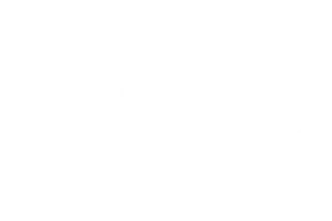 Logos Lc Marketing_Mesa de trabajo 1